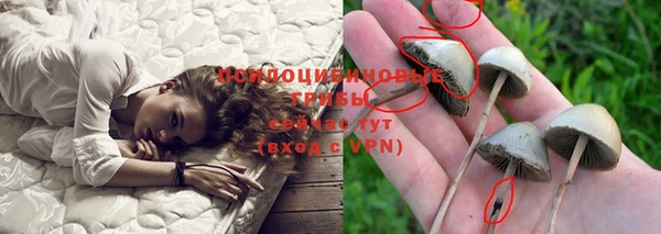 a pvp Володарск