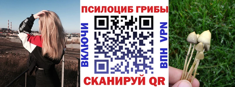 Купить закладки  Моршанск  Псилоцибиновые грибы мицелий 